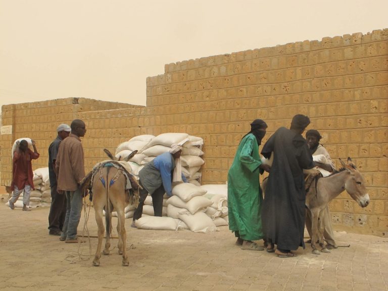 Enlèvement d’humanitaires nationaux dans le nord du Mali : une nouvelle donne ?